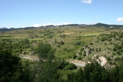 DSCN0079