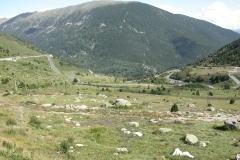 DSCN0084