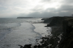 DSCN0137