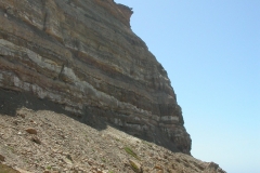 DSCN0141