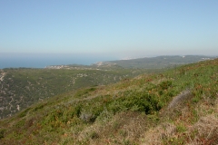DSCN0152