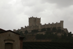 DSCN1863
