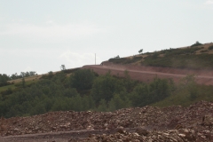 DSCN1871
