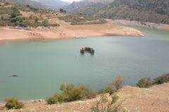 DSCN1881