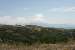 DSCN1894