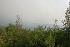 DSCN2797