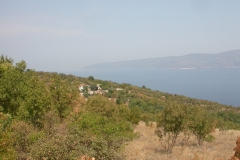 DSCN2812