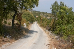 DSCN2813