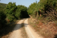 DSCN2826