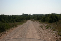 DSCN2842