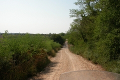 DSCN2843