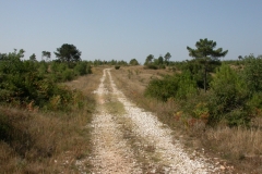 DSCN2845