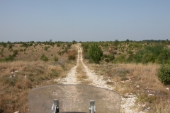 DSCN2846