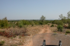 DSCN2847