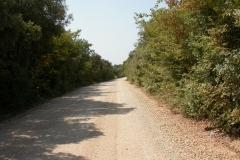 DSCN2859