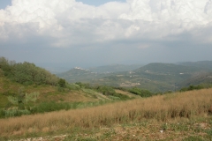 DSCN2863