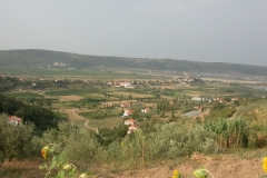 DSCN2865