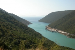 DSCN2884