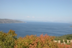 DSCN2889