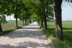 DSCN2195