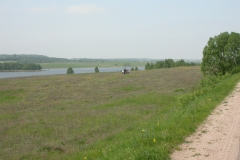 DSCN2220