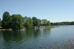 DSCN2236