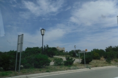 SDC10428