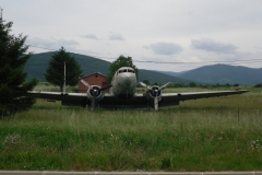 SDC10453