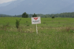 SDC10462