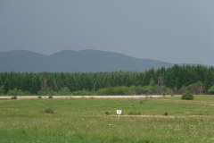 SDC10463