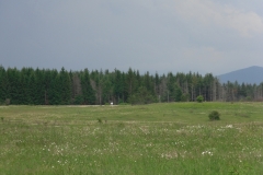 SDC10464