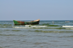 DSC_4950