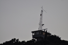 DSC_5081