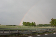 DSCN3331