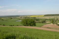 DSCN3344