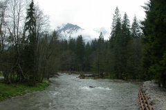 DSCN3385
