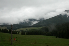 DSCN3388